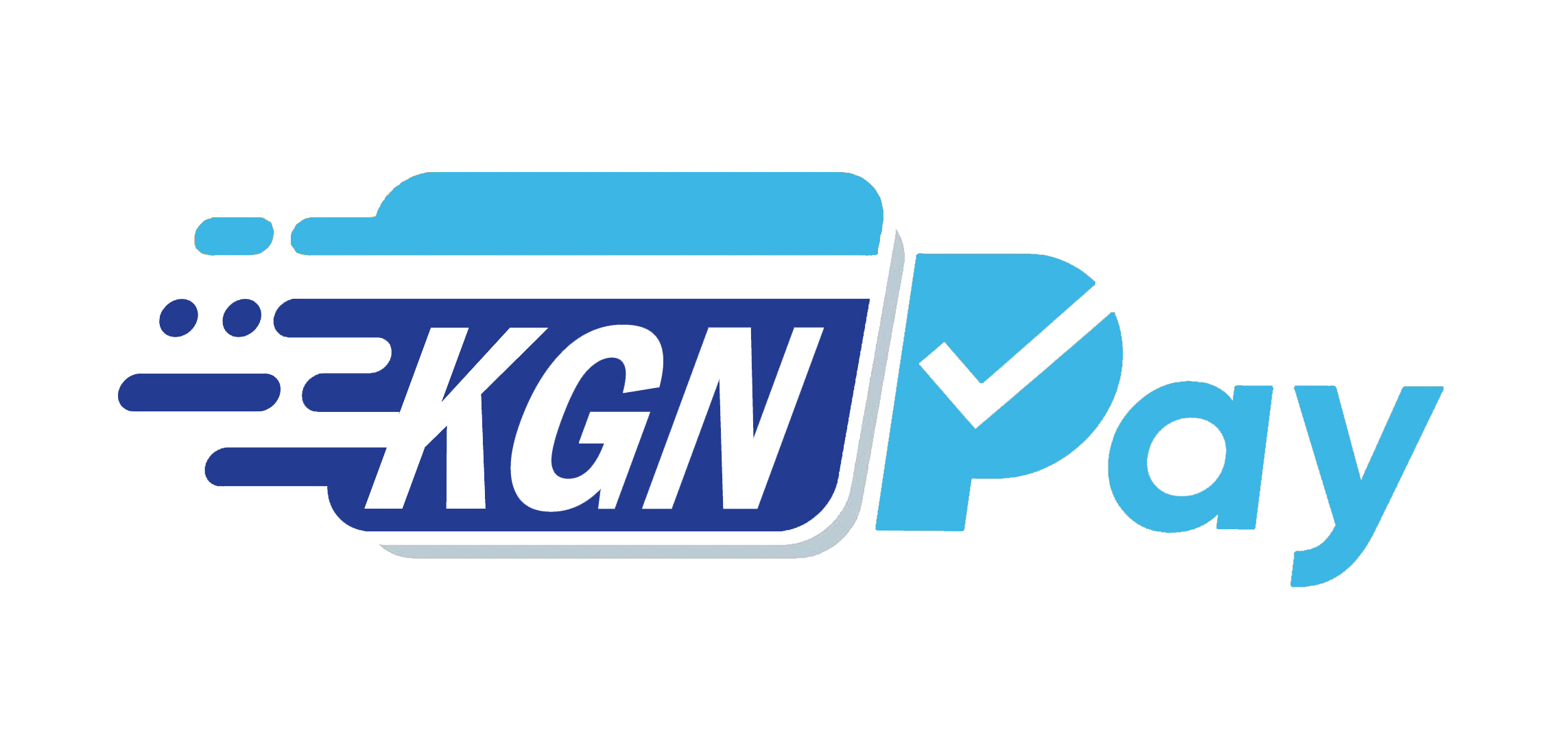 KGNPAY PRIVATE LIMITED